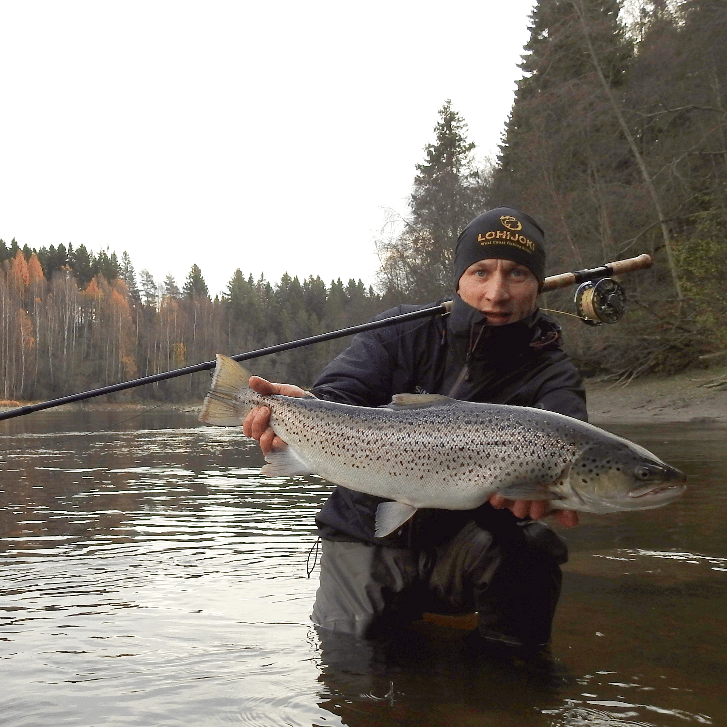 Kalastajalla kasissaan kalasaaliina pyyydystetty taimen.